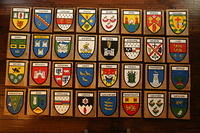 Ireland county crests